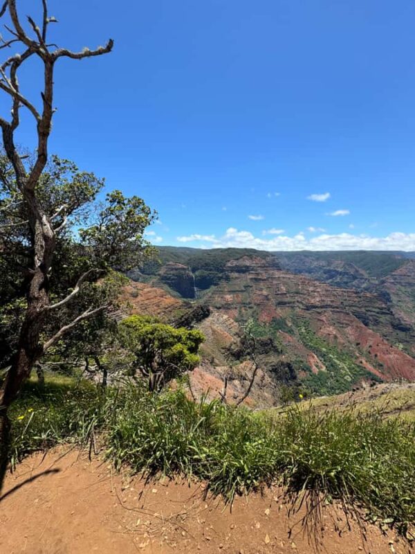 Kauai - Journey to Waimea Canyon, Spouting Horn & More - Kalalau Lookout and the Scenic Coastline