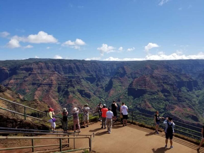 Kauai - Journey to Waimea Canyon, Spouting Horn & More - Kauai Coffee Company: A Taste of the Island
