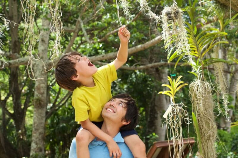 Kauai: McBryde Garden Self Guided Visit - The Tram Ride into Lawai Valley Offers Scenic Coastal Views