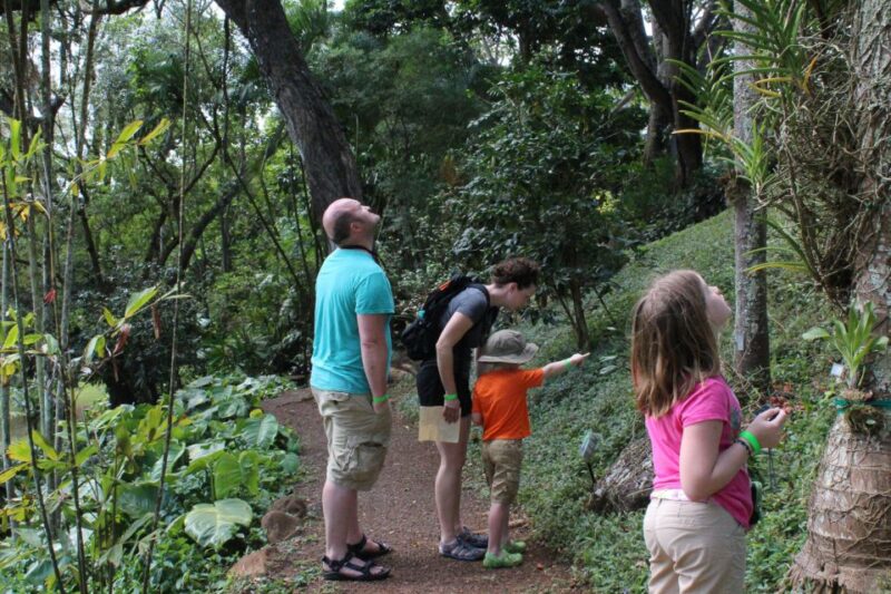 Kauai: McBryde Garden Self Guided Visit - The Overall Experience and Who Will Appreciate It