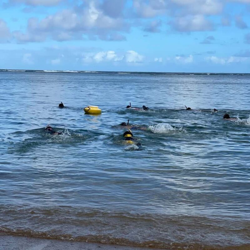 Kauai: Mlama Kai Snorkeling Adventure & Reef Cleanup - Experience Kauai’s Largest Barrier Reef with a Purpose
