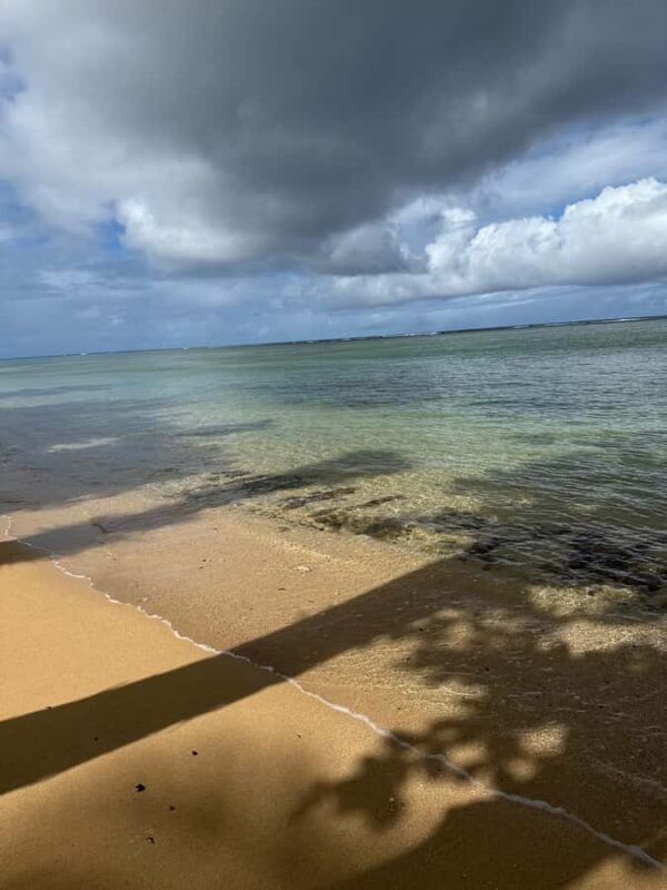 Kauai: Mlama Kai Snorkeling Adventure & Reef Cleanup - Learning About Hawaiian Reef Fish and Conservation