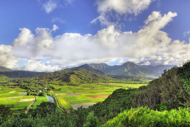 Kauai: Movie Locations Tour - The Experience of the Guide and Vehicle