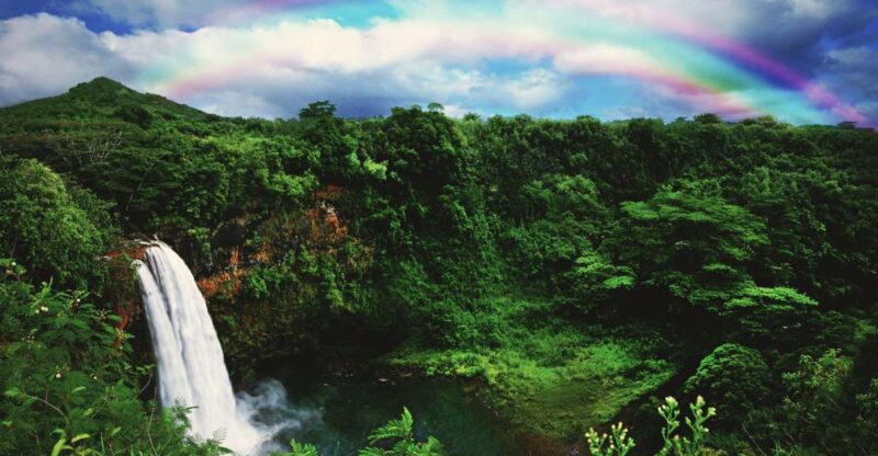 Kauai: Movie Locations Tour - Who Should Consider This Tour