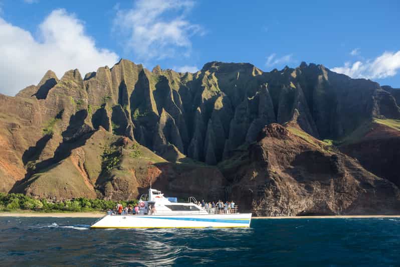 Kauai: Napali Sunset Dinner Cruise - Wildlife Viewing Opportunities on Kauai’s Coast
