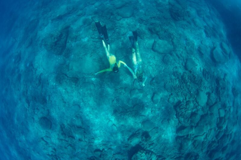 Kauai: Niihau and Na Pali Coast Full-Day Boat Tour - Practical Considerations and Physical Requirements