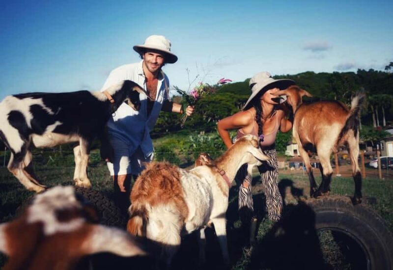 Kauai: Play with Baby Farm Animals & MicroDairy Immersion - Final Thoughts on the Microdairy Tour in Kauai