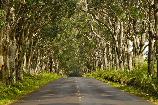 Kauai Poipu and Koloa Town Self-Guided Audio Tour - Exploring Shipwreck Beach and the Mahaulepu Heritage Trail