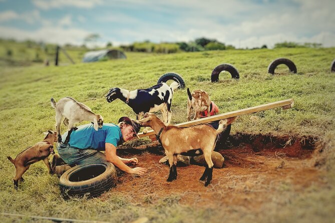Kauai Private Baby Farm Animal Experience & Micro Dairy Immersion - Discover the Unique Kauai Private Baby Farm Animal & Micro Dairy Experience