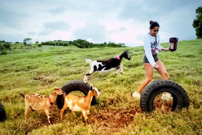 Kauai Private Baby Farm Animal Experience & Micro Dairy Immersion - Key Points