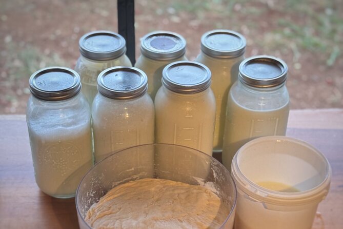 Kauai Private Baby Farm Animal Experience & Micro Dairy Immersion - Specific Activities: Baby Animals, Milking, and Mini Cows