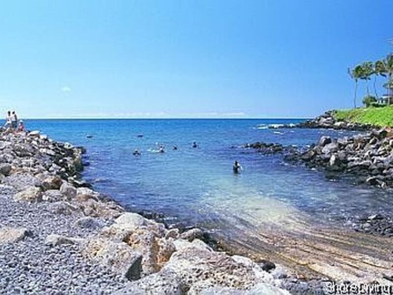 Kauai: Shore Diving at Koloa Landing, Poipu - Equipment and Gear Options for Certified and Non-Certified Divers