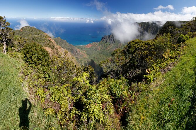 Kauai Shore Excursion - Waimea Canyon Adventure Tour - Nawiliwili - Key Points