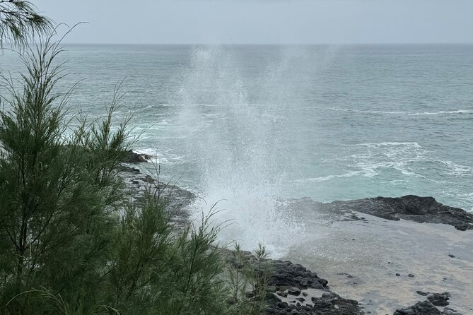 Kauai Shore Excursion - Waimea Canyon Adventure Tour - Nawiliwili - Kauai Coffee Company: Tasting the Island’s Best Brew