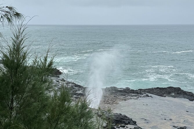 Kauai Shore Excursion - Waimea Canyon Adventure Tour - Nawiliwili - Lunch and Snacks: Local Flavors on the Go