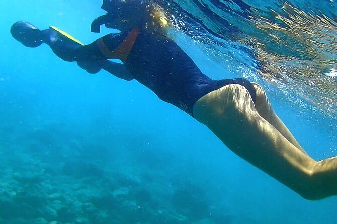 Kauai Snorkeling Adventure - Customer Experience and Common Praise