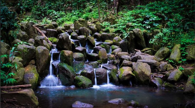 Kauai: Wailua River Kayak and Secret Falls Hike Tour - Swimming and Relaxing at the Waterfall Base