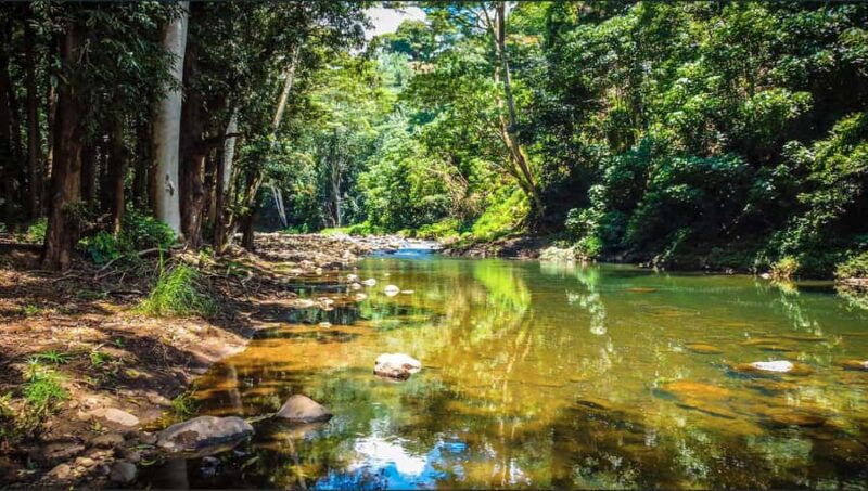 Kauai: Wailua River Kayak and Secret Falls Hike Tour - Who Will Most Enjoy This Tour?