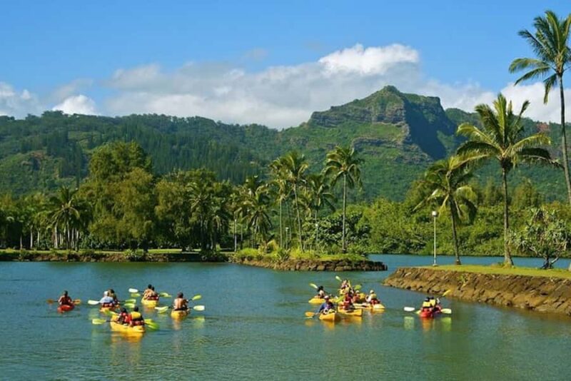 Kauai: Wailua Waterfall and River Kayak Adventure with Lunch - Key Points