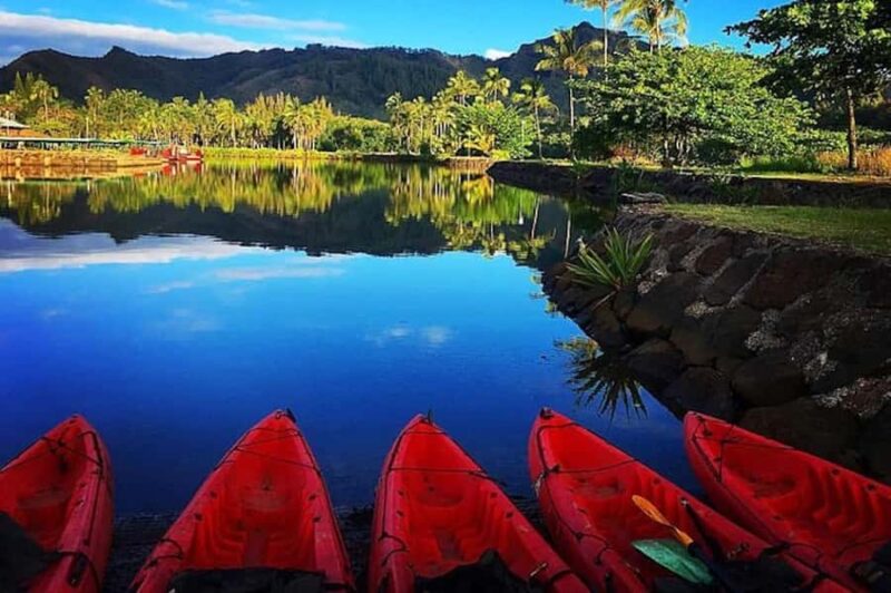 Kauai: Wailua Waterfall and River Kayak Adventure with Lunch - Meeting and Booking Flexibility