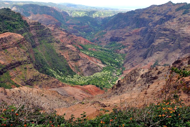 Kauai Waimea Canyon and Koke'e Tour - Practical Details and Logistics