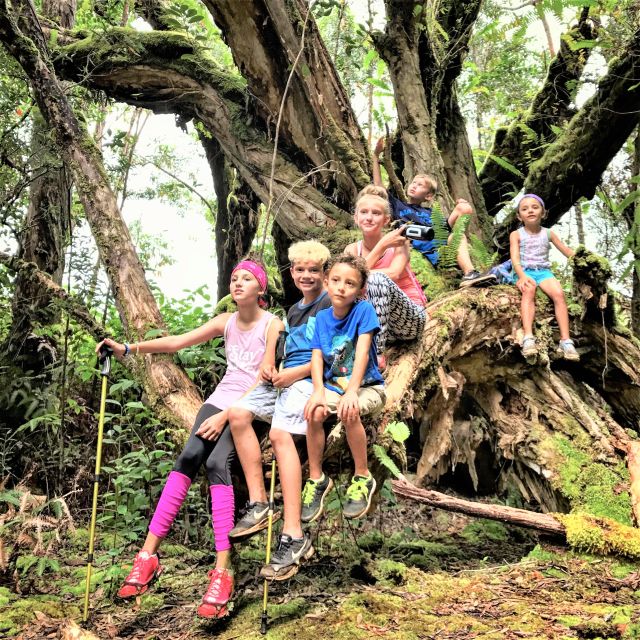 Kauai: Waimea Canyon & Kokee State Park Private Tour - Key Points