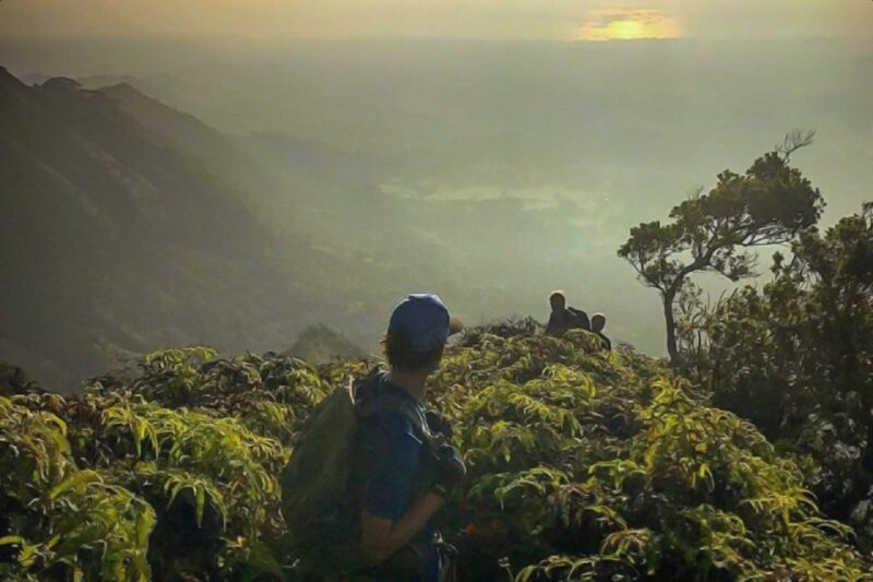 Kauai: Waimea Canyon & Kokee State Park Private Tour - Journey Along the Only Road Across Kauai