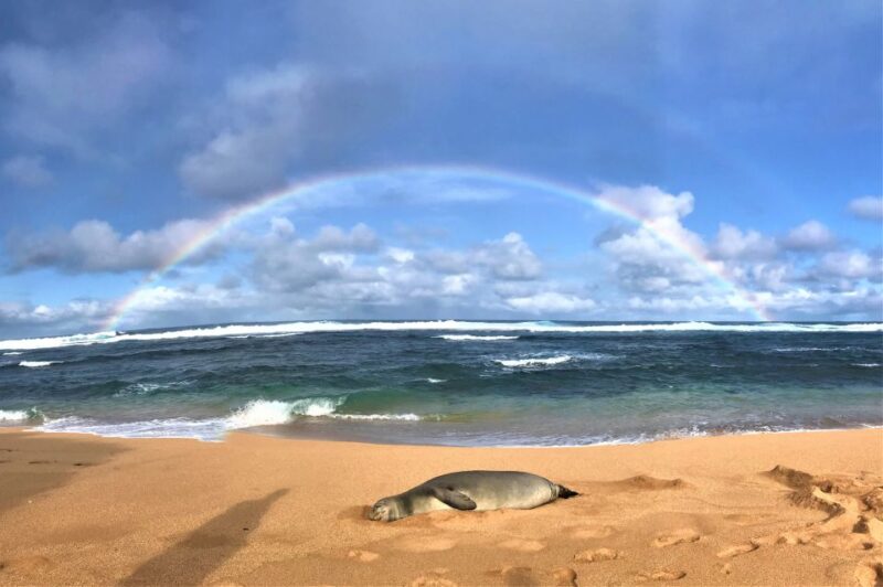 Kauai: Waimea Canyon & Kokee State Park Private Tour - Practical Details: Meeting Point and Planning