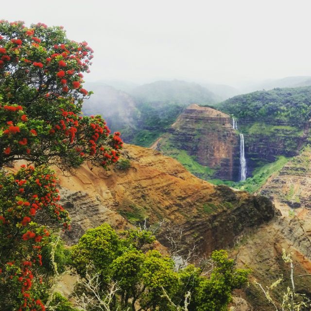 Kauai: Waimea Canyon & Kokee State Park Private Tour - What to Bring for Comfort and Convenience