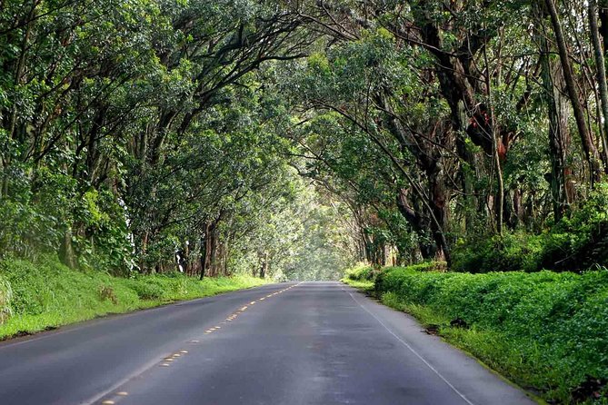 Kauai's South & East Small-Group Tour: Legends & Waterfalls - Historic Koloa Town and Lunch Break
