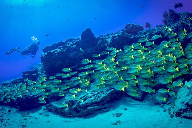 Kauai's Ultimate Boat 2 Tank Adventure Dive Certified Divers Only - Flexibility and Cancellation Policy