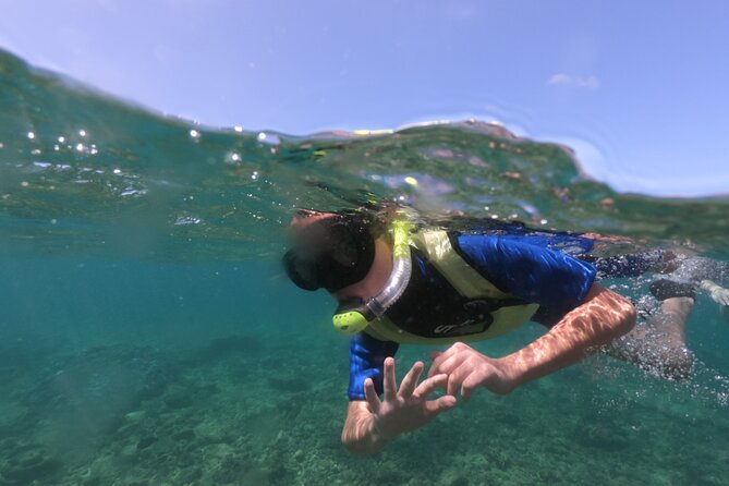 Kauai's Ultimate Guided Shore Snorkel (NO BOAT): North Anini - Key Points