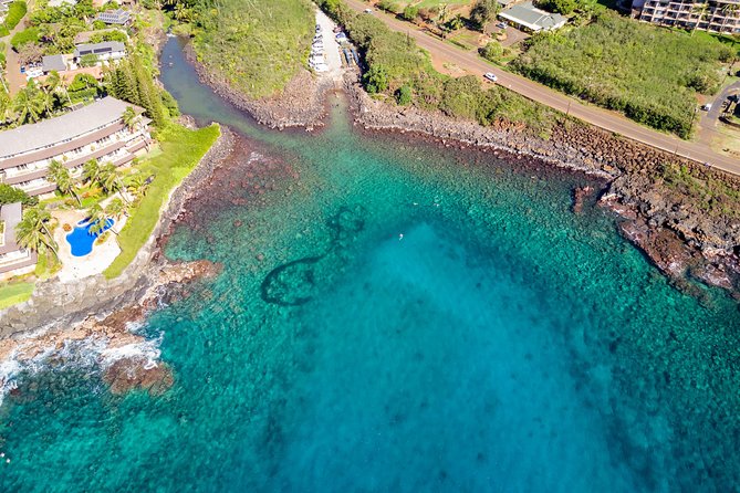 Kauai's Ultimate South Shore 2 Tank Dive (Certified Divers Only) - Equipment, Snacks, and Ecology Briefings