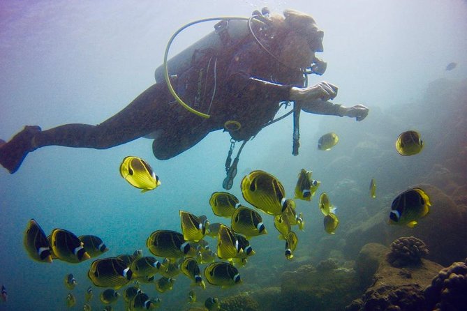 Kauai's Ultimate South Shore 2 Tank Dive (Certified Divers Only) - Physical Requirements and Group Size