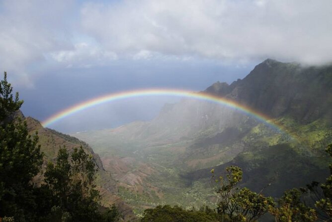 Kauai's Waimea Canyon and South Side Private Guided Tour - Key Points