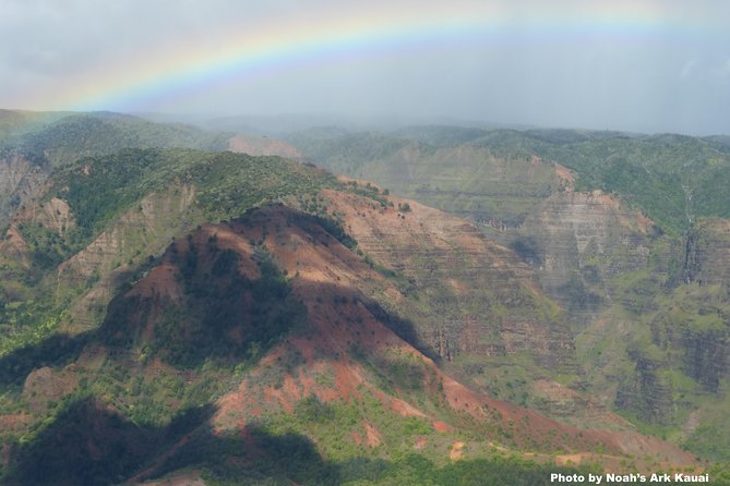 Kauai's Waimea Canyon and South Side Private Guided Tour - Wildlife and Beach Time at Poipu Beach Park