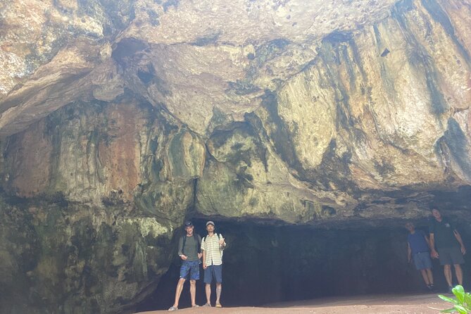 Kauai's Waimea Canyon and South Side Private Guided Tour - Comfort and Convenience in Transportation