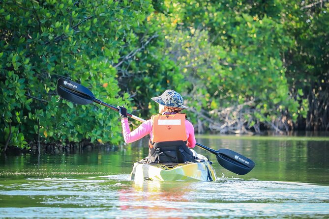 Kayak Adventure in Cancun - Wildlife and Nature in the Mangrove Channels