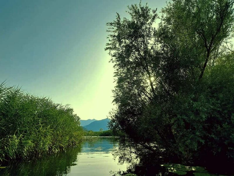 Kayak Adventure: Paddle your way through Lake Skadar - Detailed Review