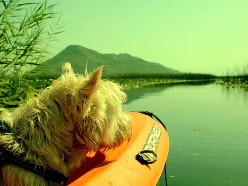 Kayak Adventure: Paddle your way through Lake Skadar - Frequently Asked Questions