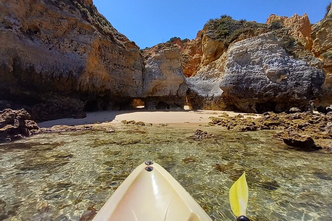 Kayak Adventure through the Ponta da Piedade Caves in Lagos - Weather Considerations and Cancellation Policy