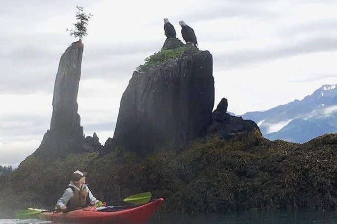 Kayak and Hike to Historic WW2 Army Fort in Alaska! - Wildlife Encounters and Scenic Vistas
