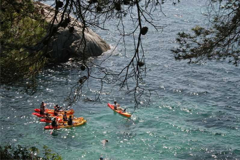 Kayak and Snorkel in Playa de Aro, Costa Brava - Starting Point in Playa de Aro: Kayak & Paddle Surf Cavall Bernat