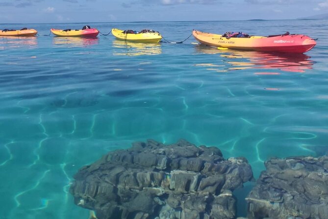Kayak and Snorkel: Maui West Shore - Light Refreshments and Safety Gear Included