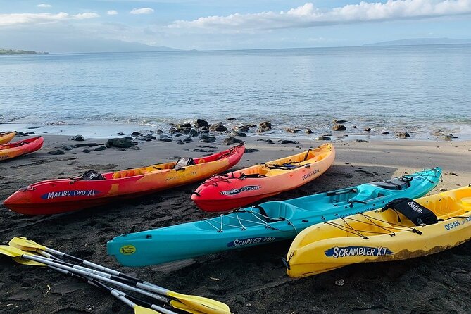 Kayak and Snorkel: Maui West Shore - Weather and Safety Considerations