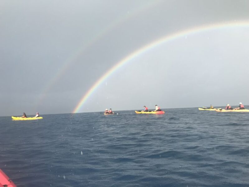 Kayak and Snorkel West Maui at Olowalu - What Is Included in the Kayak and Snorkel Tour?