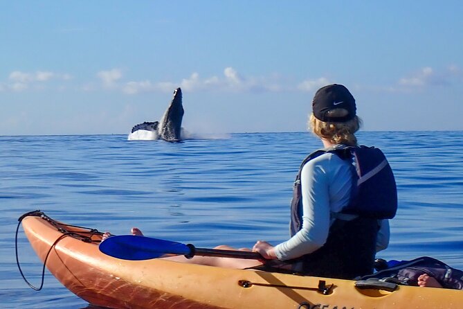 Kayak and Whale Watching Tour - Expert Guides: Knowledgeable and Friendly