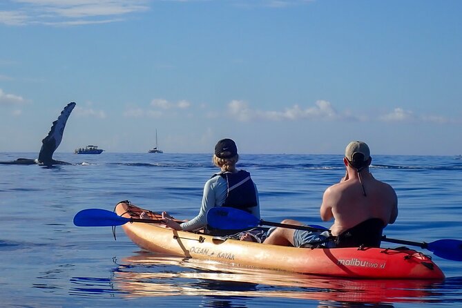 Kayak and Whale Watching Tour - Physical Requirements and Group Size