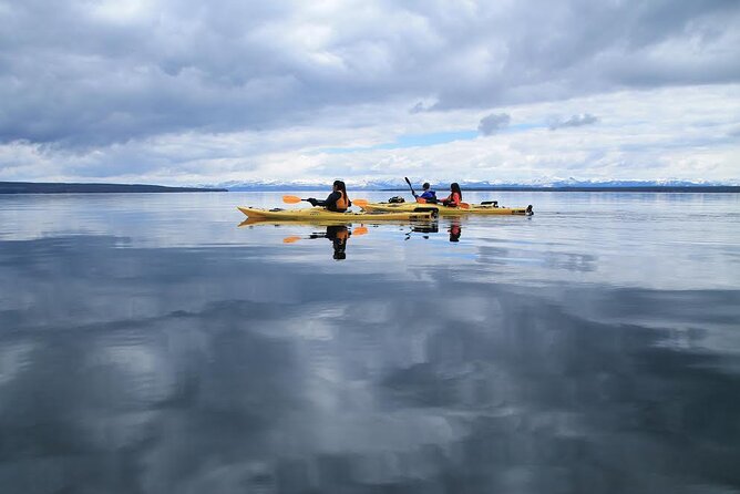 Kayak Day Paddle on Yellowstone Lake - Pricing and Booking in Advance