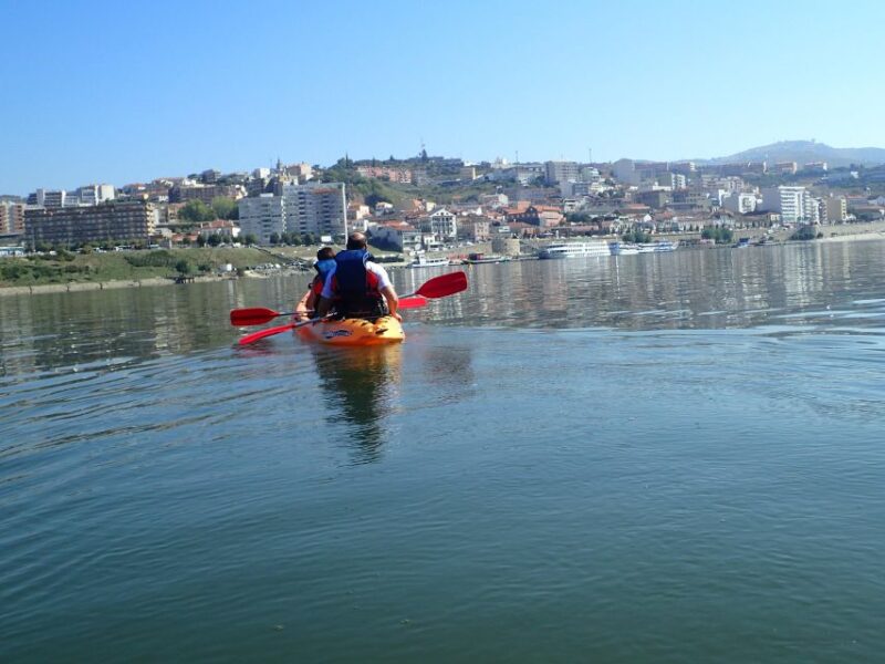 Kayak - Douro Valley - What to Expect During the Kayaking Experience